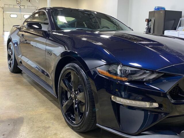 car paint protection film